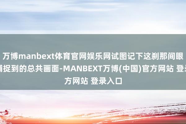 万博manbext体育官网娱乐网试图记下这刹那间眼睛能捕捉到的总共画面-MANBEXT万博(中国)官方网站 登录入口